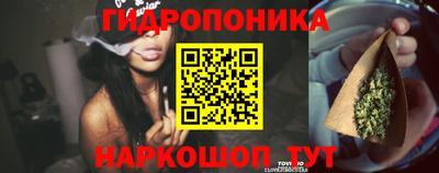прущие крисы Балаково