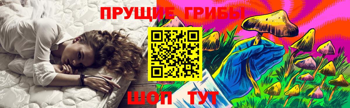 Псилоцибиновые грибы Psilocybine cubensis  Галлюциногенные грибы ЛСД  Городец  Вход с VPN 